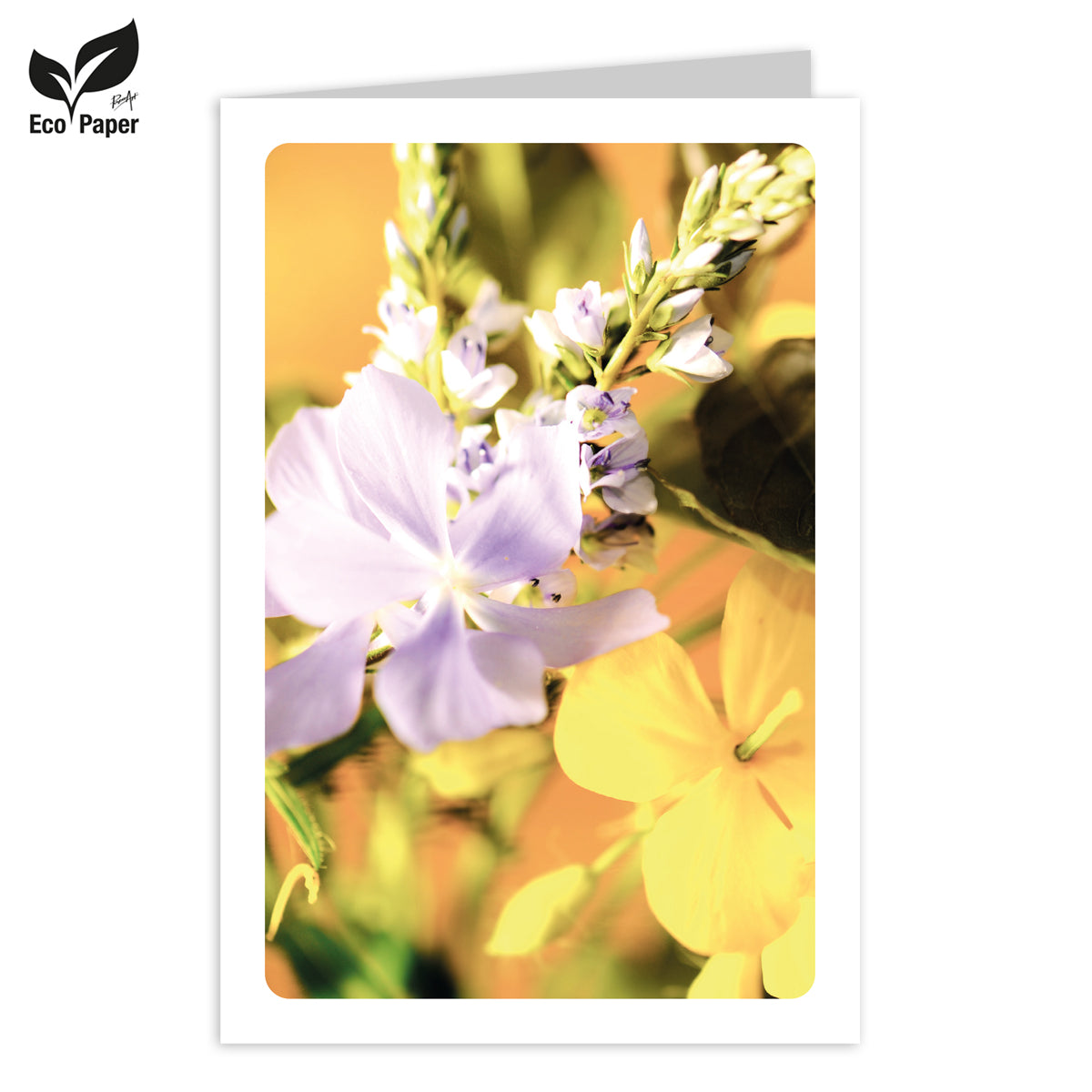 Wenskaart Blank Eden spring flowers bouquet - oker 6 stuks