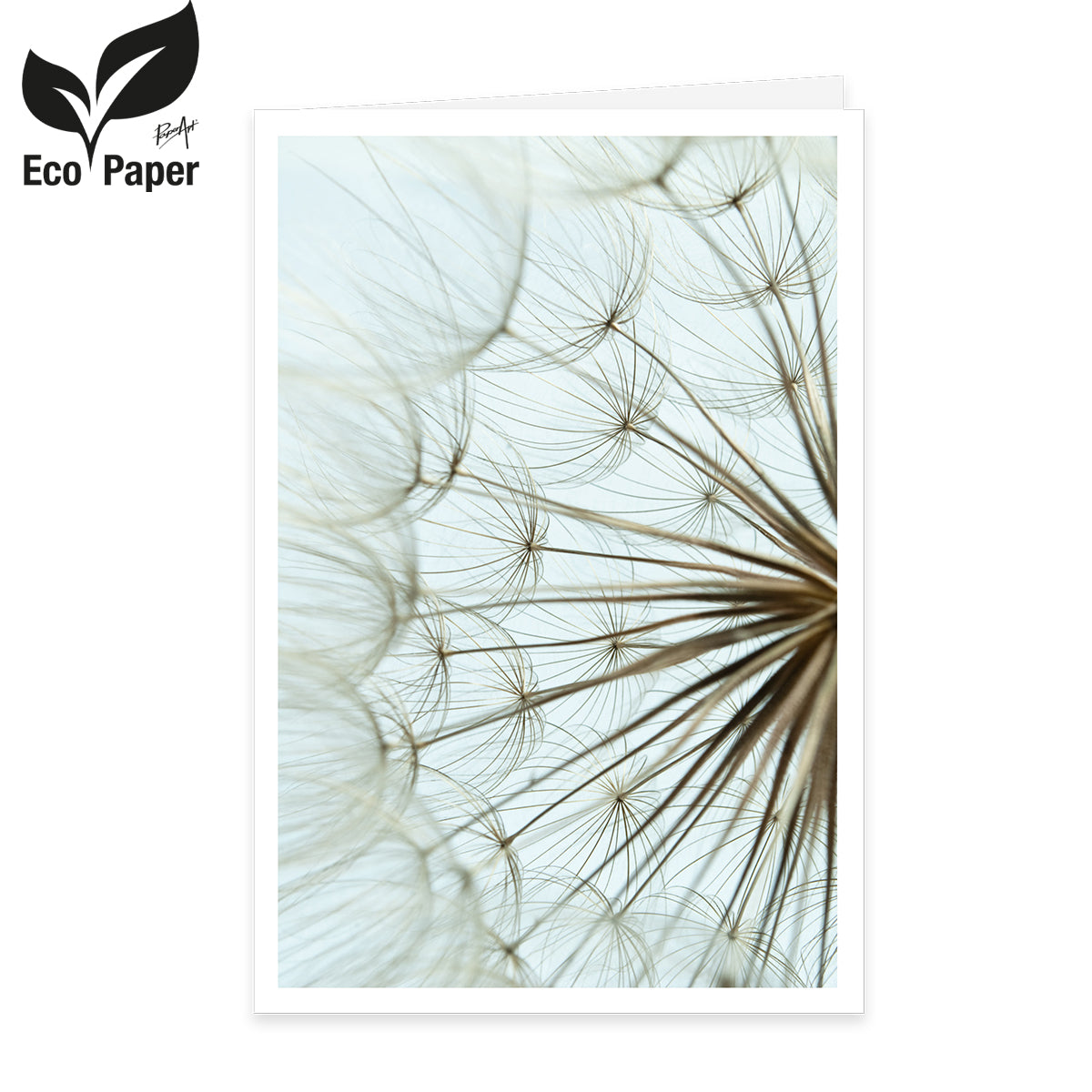 Condolence card blank - Dandelion 6 pieces