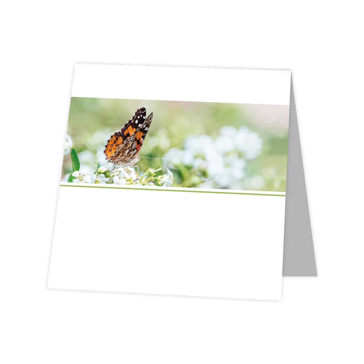 Sympathy card Butterfly Garden Blank 12 pieces