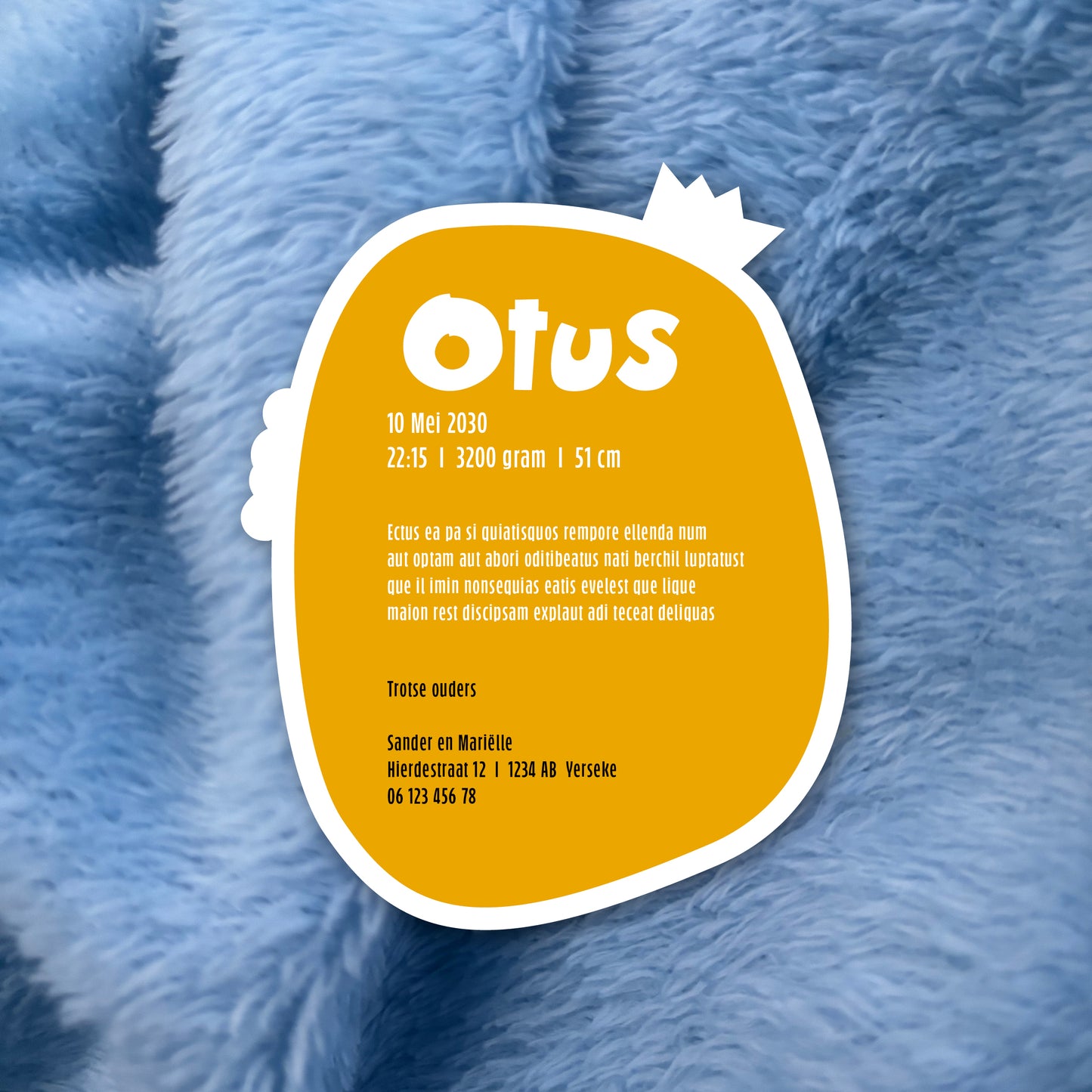 Geboortekaart in contourvorm Fladdervriendjes serie - Otus