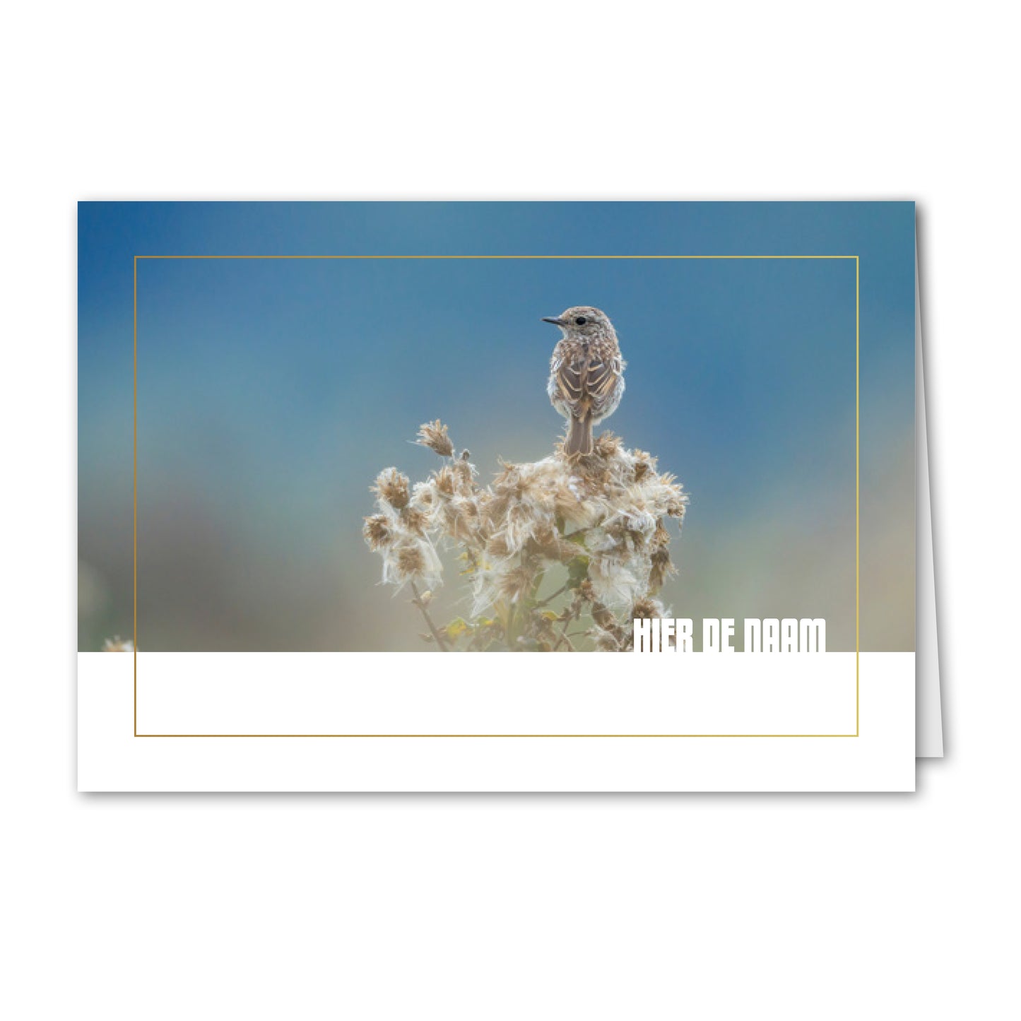 Trauerkarte Vogel auf Blume (personalisiert)