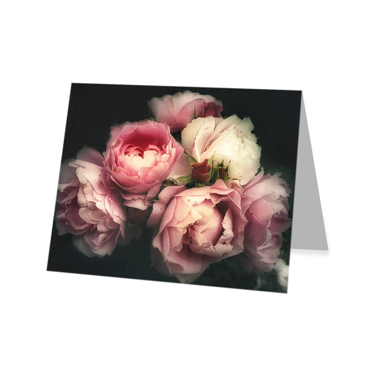 Kadokaart Roze pioenrozen 20 stuks