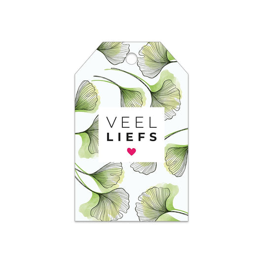 Kadokaart Veel liefs 20 stuks