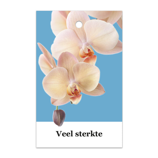 Kadokaart Floortje - Veel sterkte 25 stuks