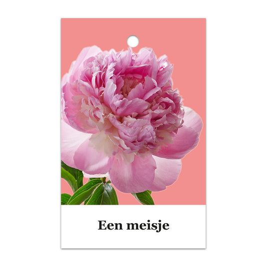 Kadokaart Floortje - Een meisje 25 stuks