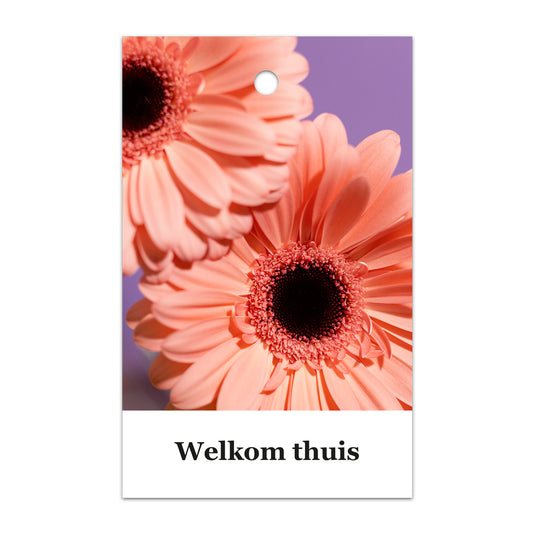 Kadokaart Floortje - Welkom thuis 25 stuks