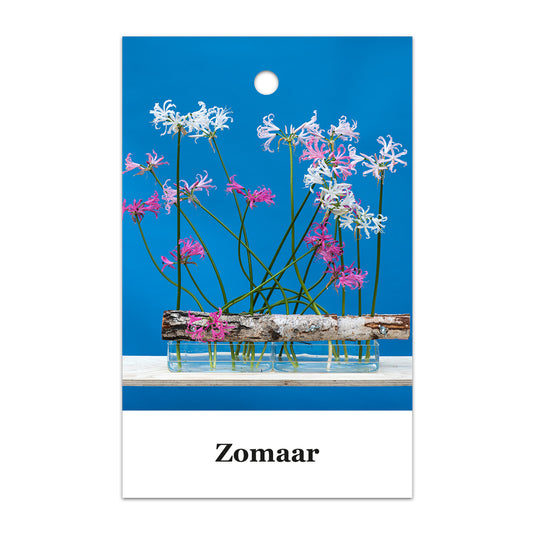Kadokaart Floortje - Zomaar 25 stuks