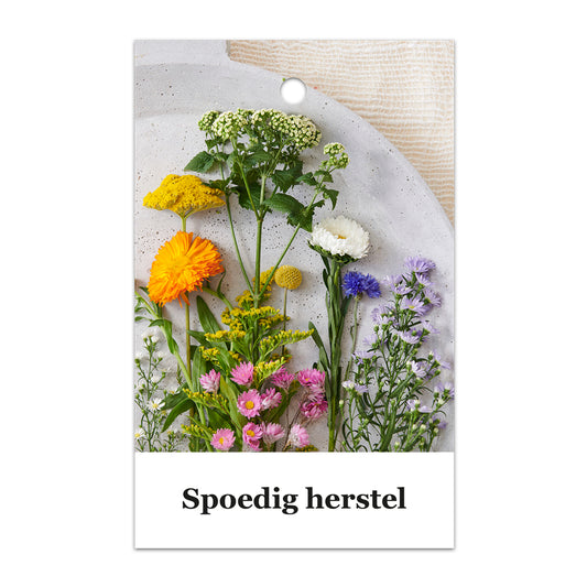 Kadokaart Floortje - Spoedig herstel 25 stuks