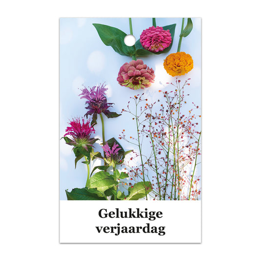Kadokaart Floortje - Gelukkige verjaardag 25 stuks