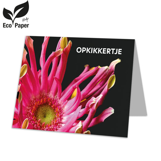 Kadokaart Opkikkertje 20 stuks