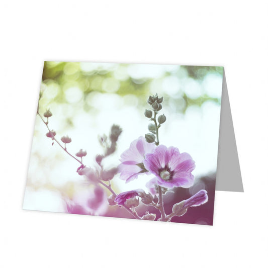 Kadokaart Inflore DE - Blank Hibiscus 12 stuks