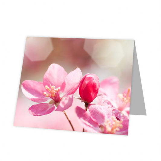 Kadokaart Inflore DE - Blank Pink blossom 12 stuks