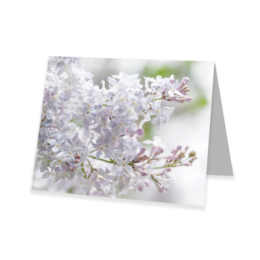 Kadokaart Inflore DE - Blank Lilac 20 stuks