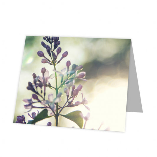 Kadokaart Inflore DE - Blank Wildflower 12 stuks