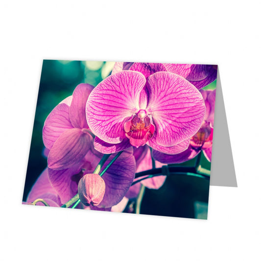 Kadokaart Inflore DE - Blank Orchid 12 stuks