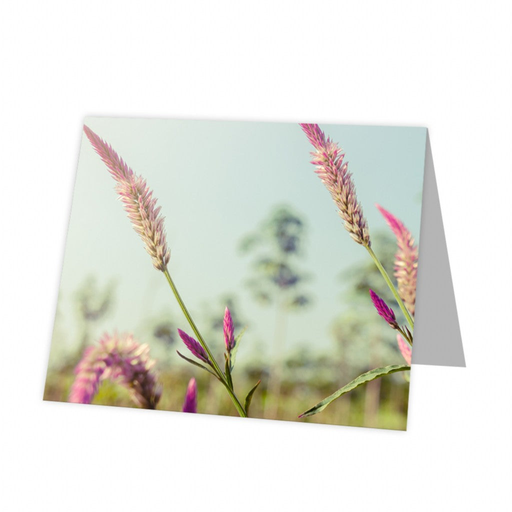 Kadokaart Inflore DE - Blank Kudos 12 stuks
