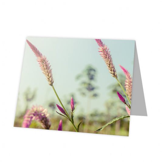 Kadokaart Inflore DE - Blank Kudos 12 stuks