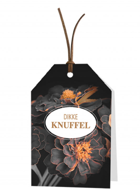 Wenskaart Dikke knuffel 6 stuks