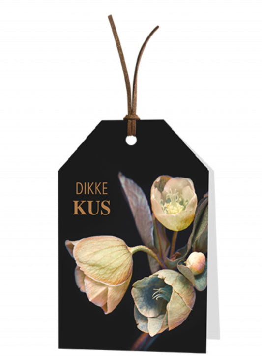 Wenskaart Dikke kus 6 stuks