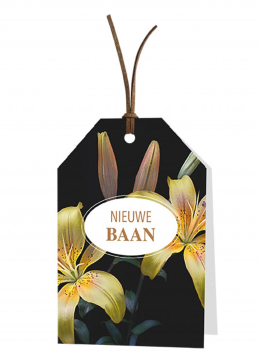 Wenskaart Nieuwe baan 6 stuks