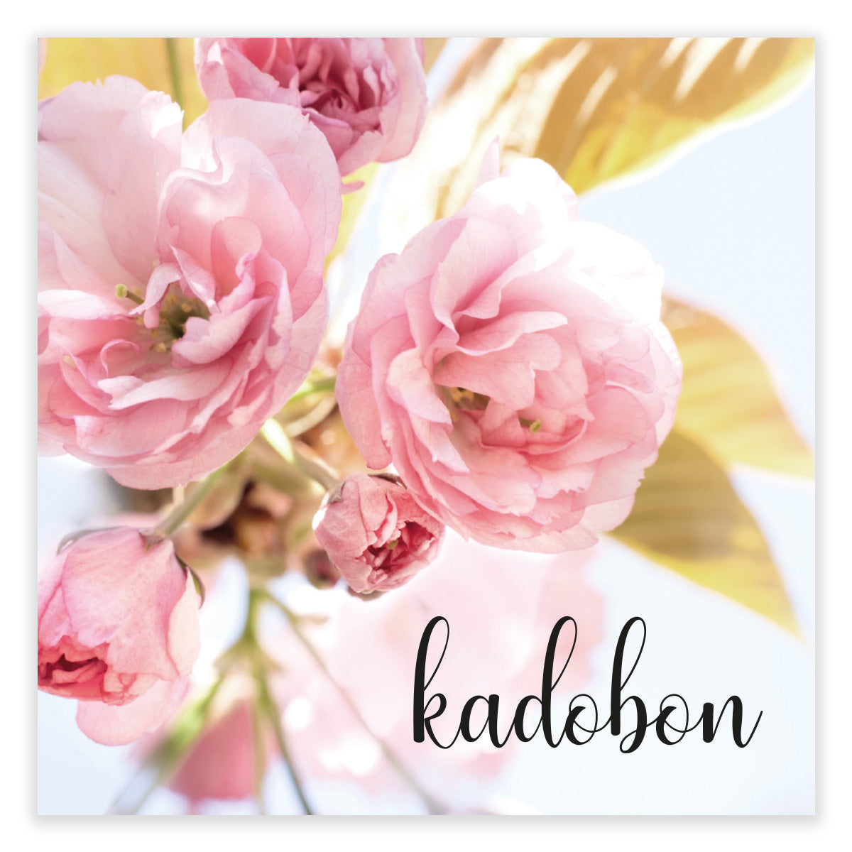 Gift voucher Present - Gift voucher 12 pieces