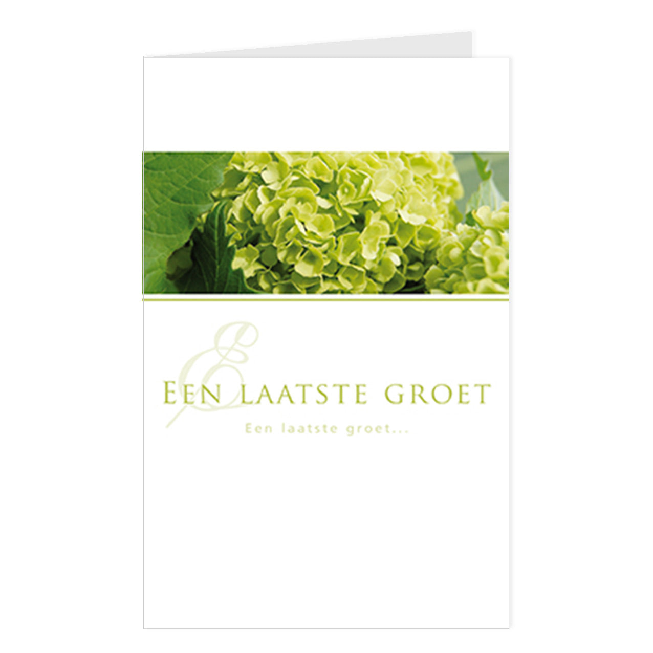 Sympathy card Emotions - GF A last greeting 12 pieces