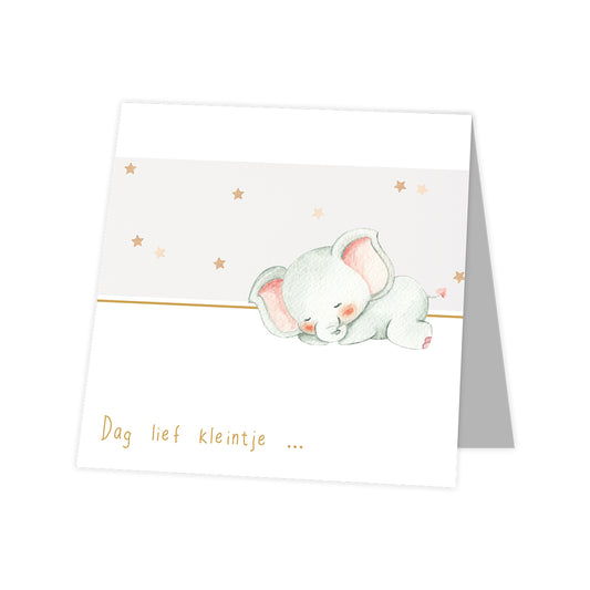 Rouwkaart Kids - Dag lief kleintje 12 stuks