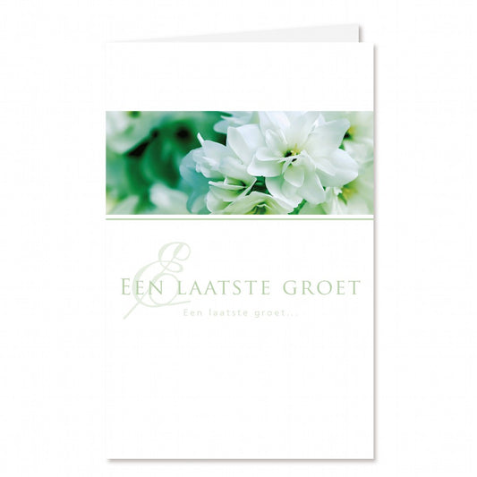 Rouwkaart Jasmine Green - Een laatste groet 12 stuks