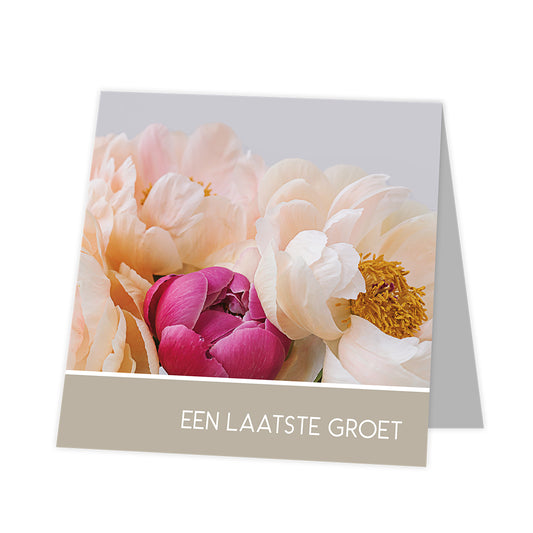 Rouwkaart Senza Peonies - Laatste groet 12 stuks