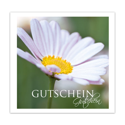 Geschenkgutschein Present DE - Gutschein - Daisy 12 Stück