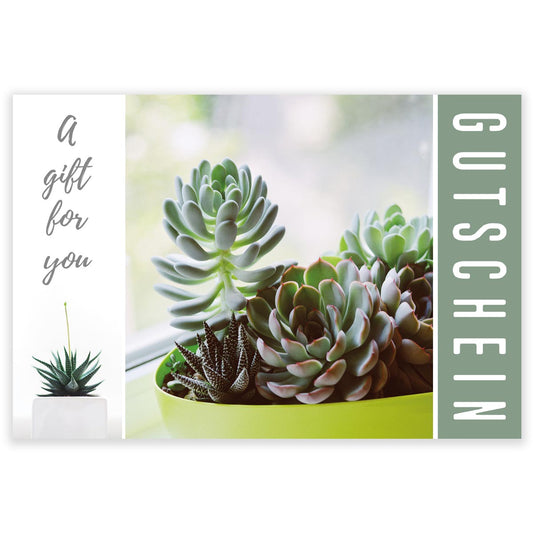 Kadobon Fortuna DE - Gutschein - Urban Succulent 12 stuks