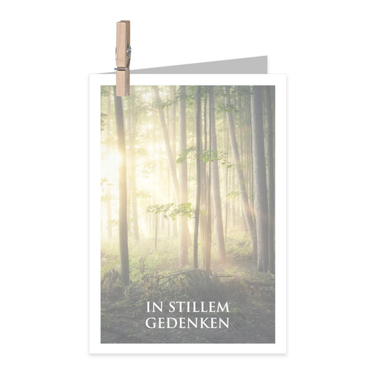 Trauerkarte Celeste DE - In stillem Memorial v2 12 Stück