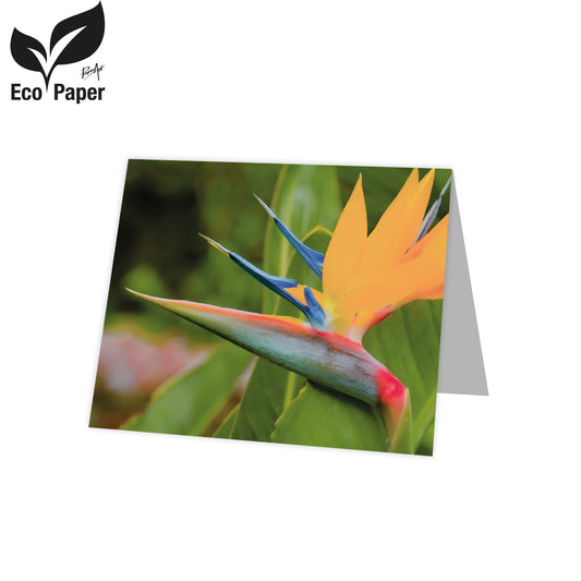 Kadokaart Eco Lumi - Blank Paradise flower - green 20 stuks