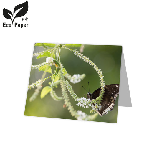 Kadokaart Eco Lumi - Blank Butterfly - green 20 stuks