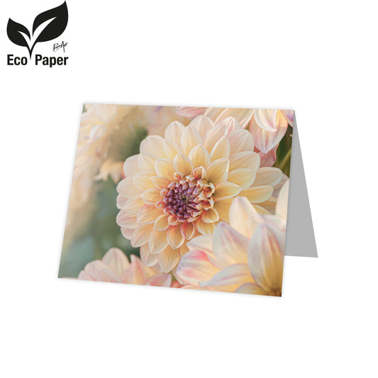 Kadokaart Eco Lumi - Blank Chrysanthemum - peach 20 stuks