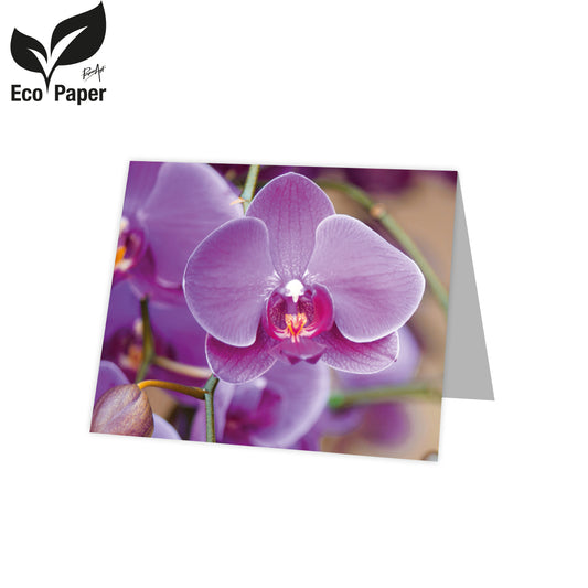 Kadokaart Eco Lumi - Blank Orchid -  purple 20 stuks