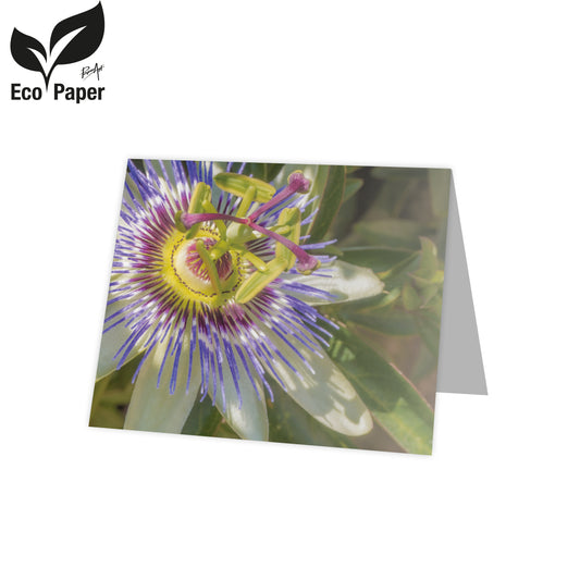 Kadokaart Eco Lumi - Blank Passionflower - green 20 stuks