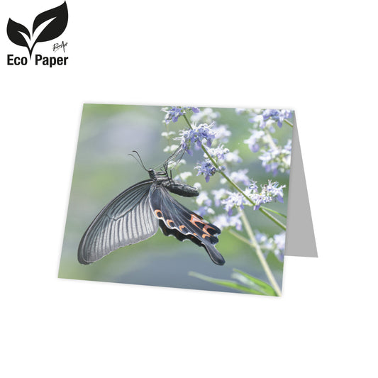 Kadokaart Eco Lumi - Blank Butterfly - purple 20 stuks