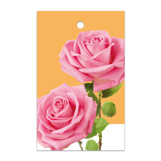 Kadokaart Floortje - Blank roses pink-orange 25 stuks