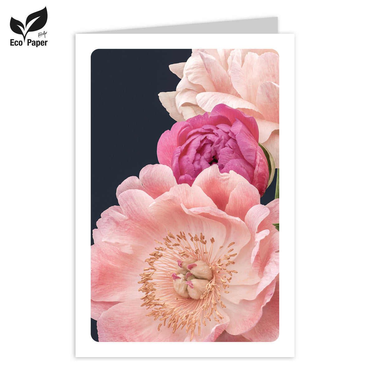 Wenskaart Blank Eden pink peonies - dark 6 stuks
