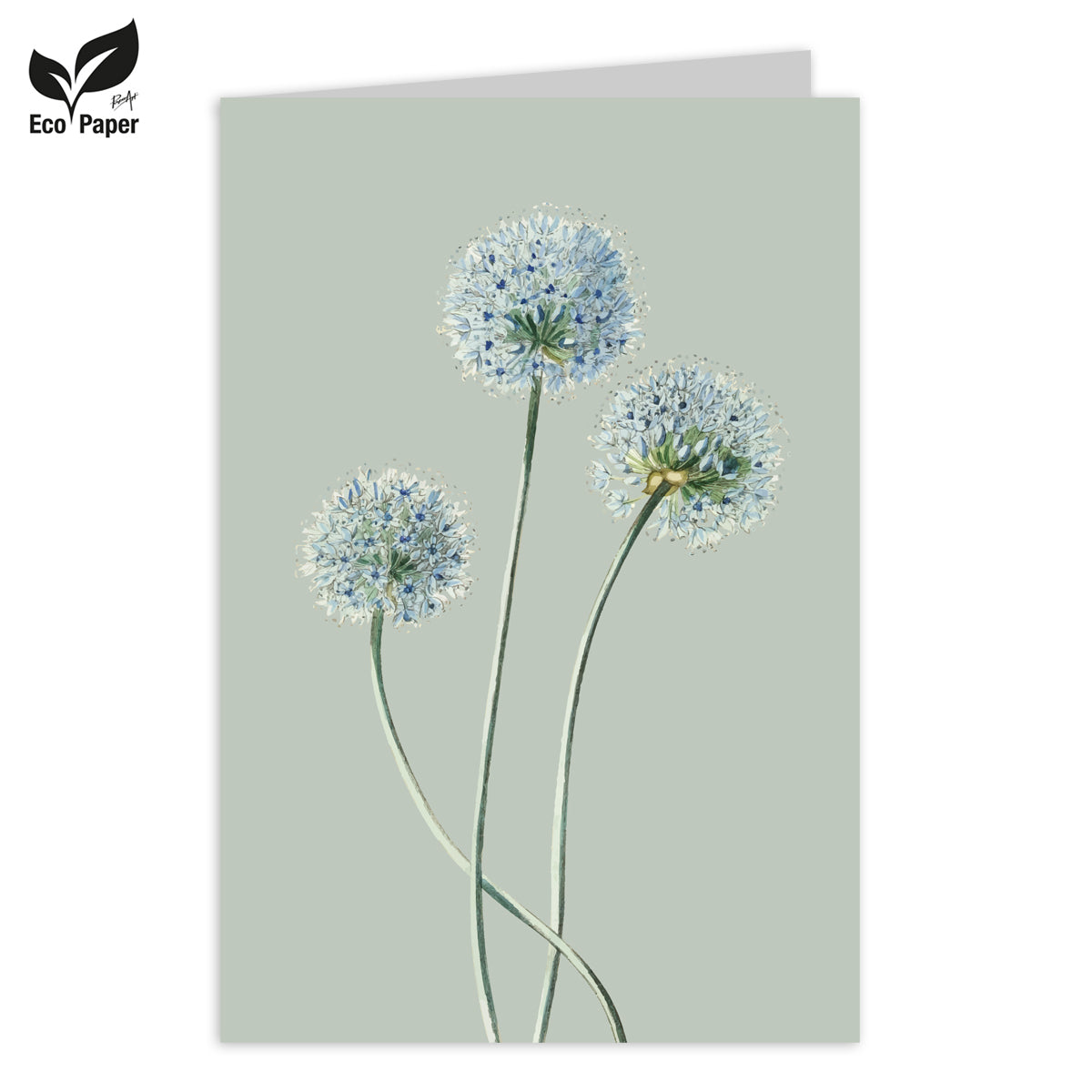 Wenskaart Blank Estee Dandelion 6 stuks