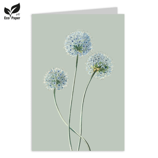 Wenskaart Blank Estee Dandelion 6 stuks