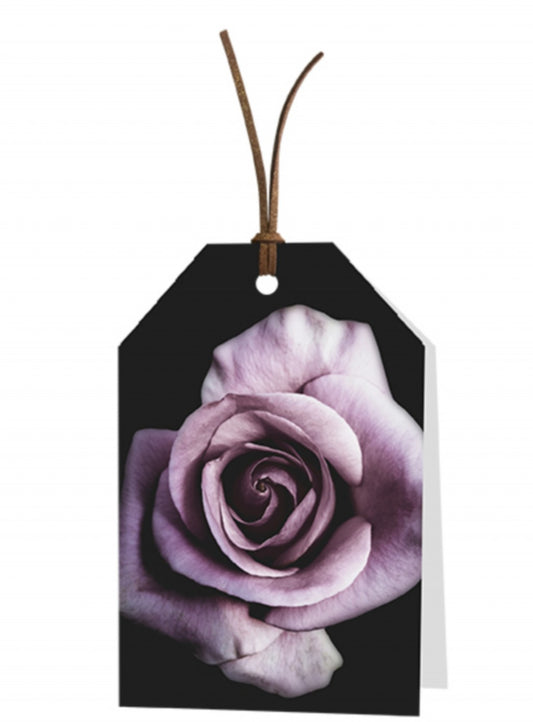 Wenskaart Blank lila rose 6 stuks