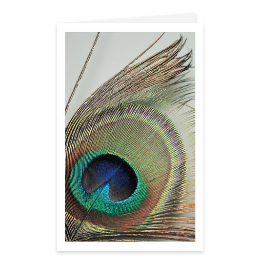 Rouwkaart Sereen - Blanco - Peacock feather GF 12 stuks