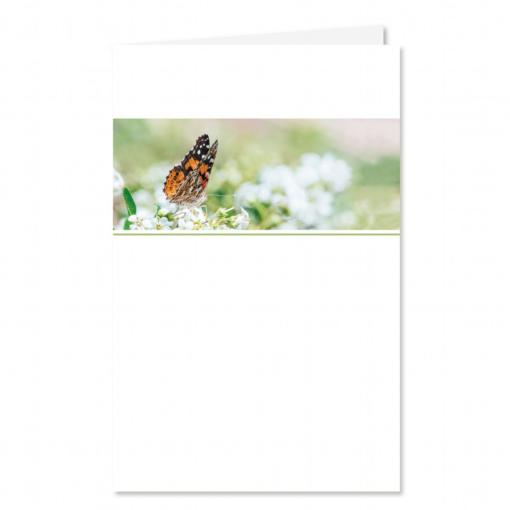 Rouwkaart Butterfly Garden Blanco 6 stuks