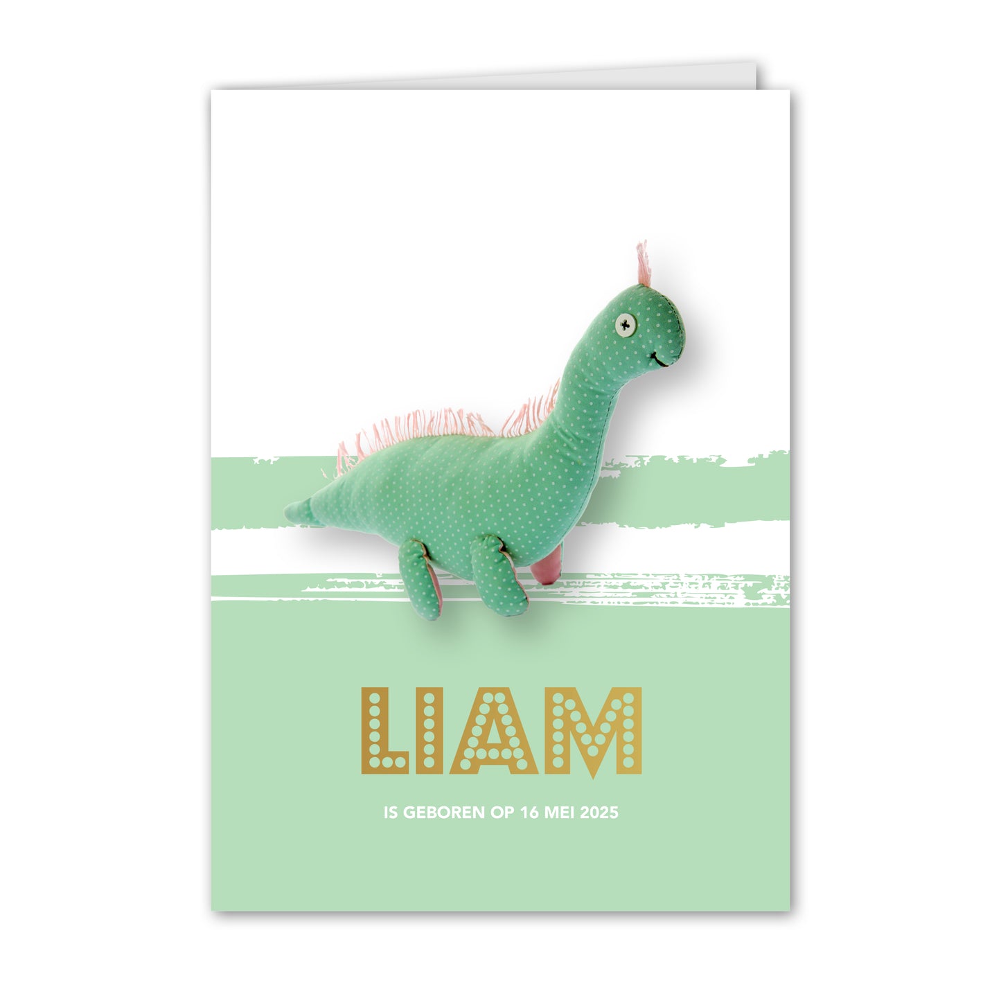 Geboortekaart Knuffel Dinosaurus (gepersonaliseerd)