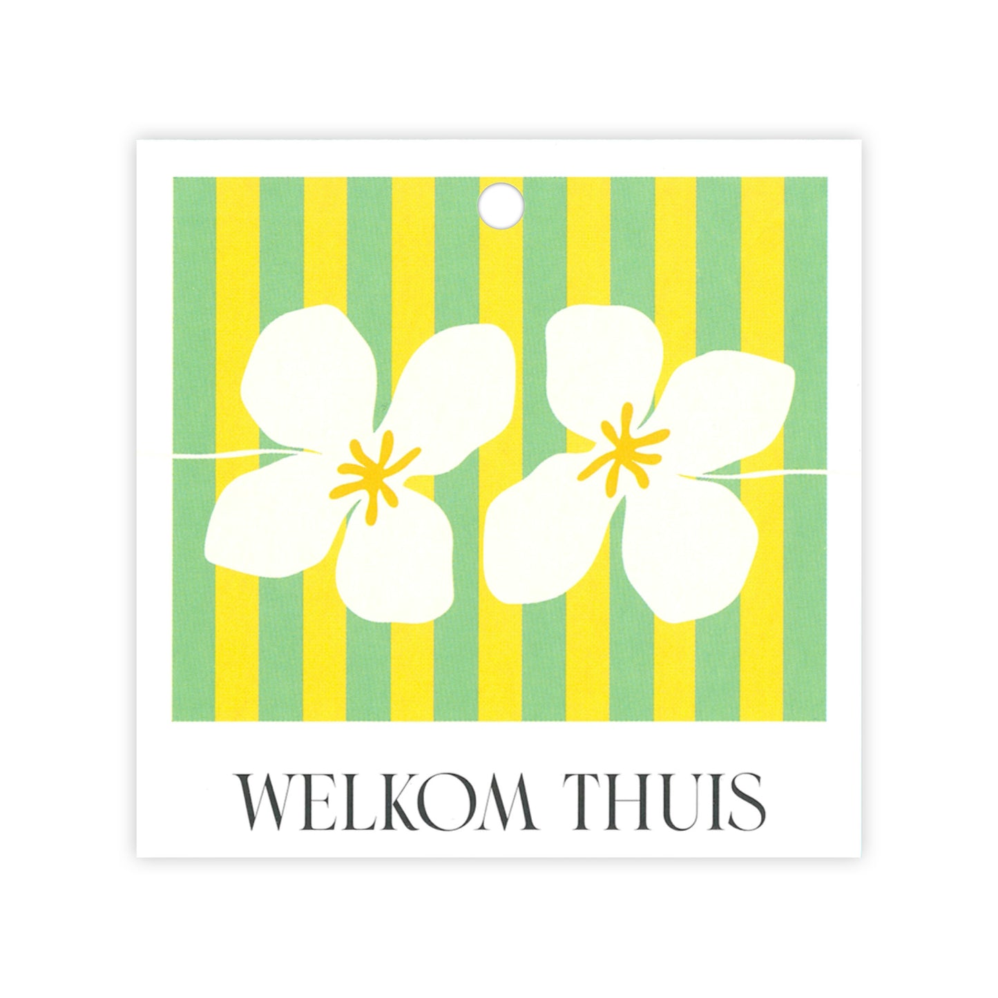 Geschenkkarte Eco Ilona - Bestanden 25 Stück