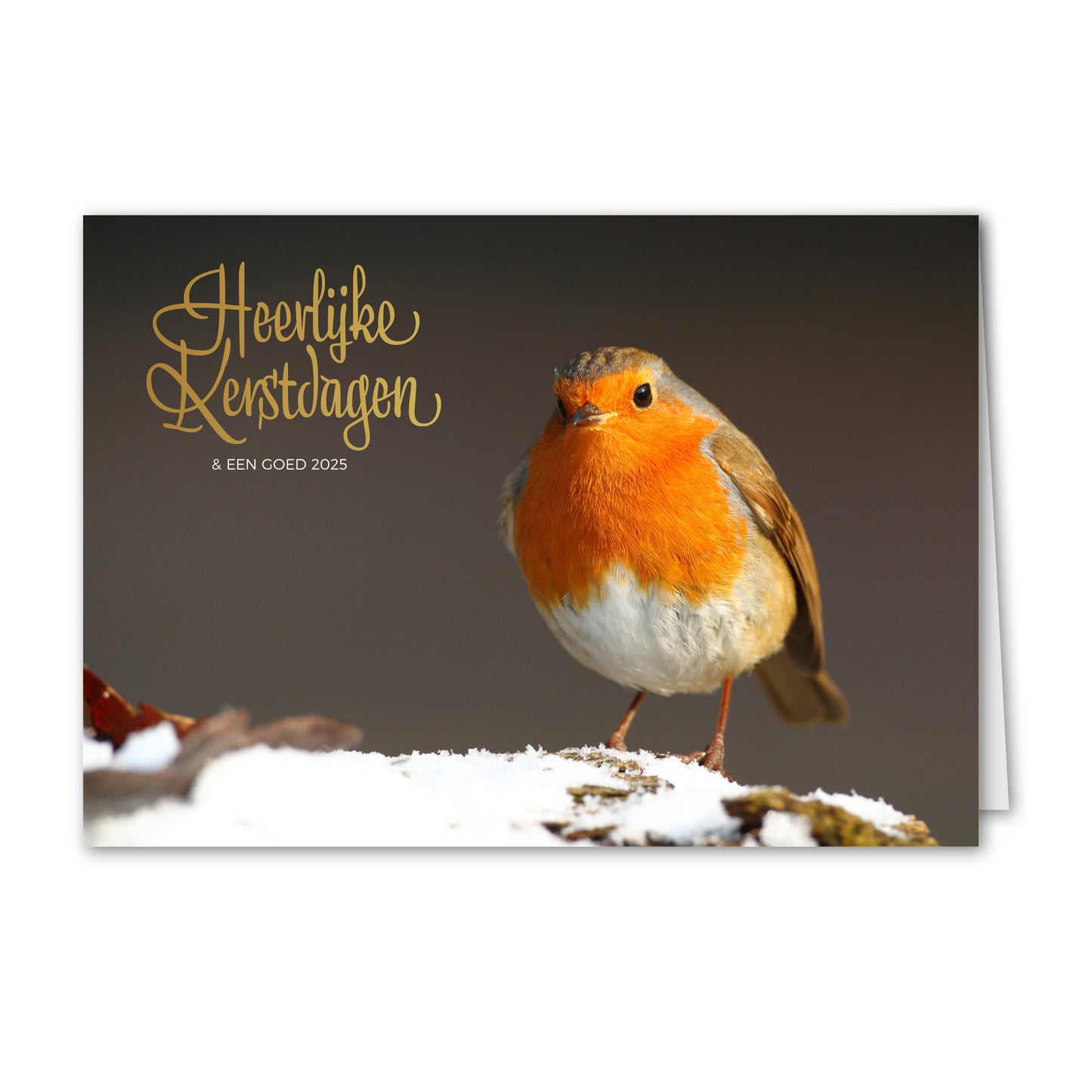 Kerstkaart Roodborstje
