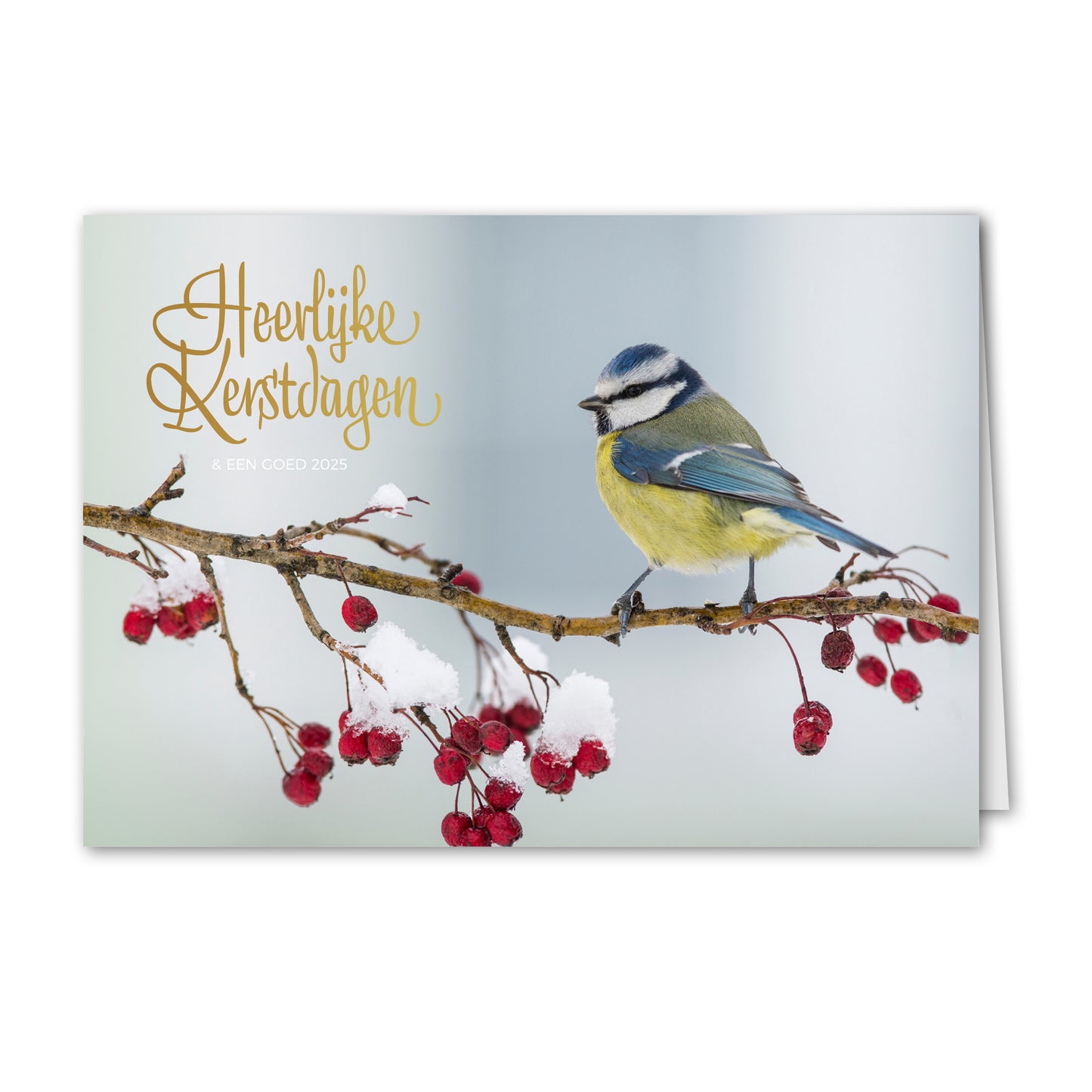 Kerstkaart Pimpelmees
