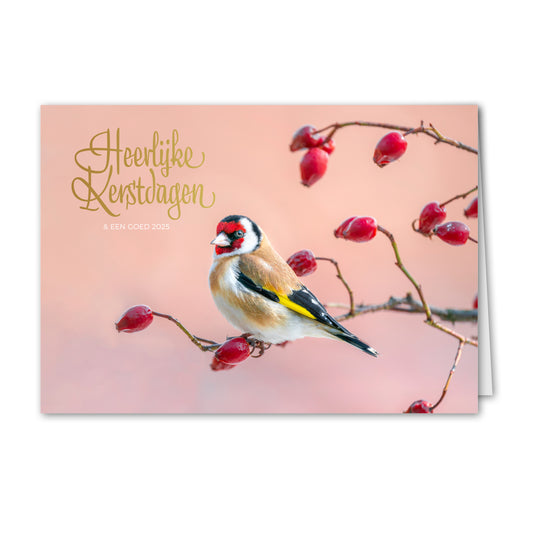 Kerstkaart Putter